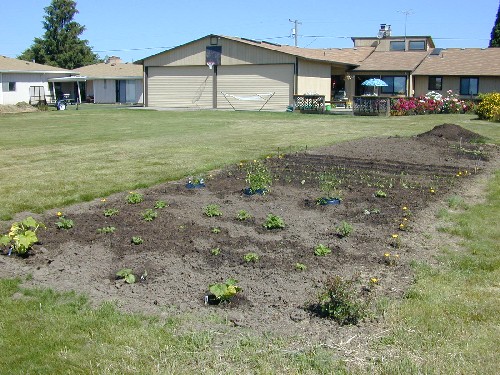 Garden and House